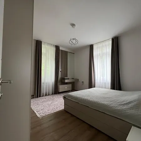 By Expert Aleja Villa