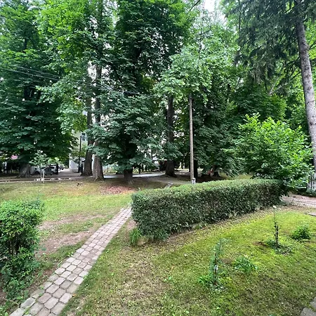 By Expert Aleja Villa *